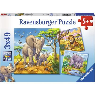 Spiel 4024.0